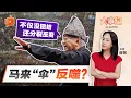 Download Lagu 【百格大事纪】点破“马来大伞”弊端 敦马：人人想当首相 结果必分裂 | 23.9.2025