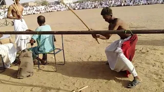 هيثم زمراوي حفلة 