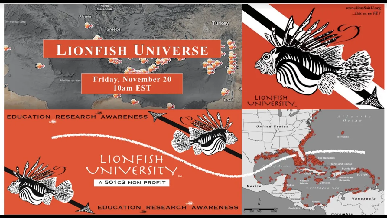 Lionfish Universe