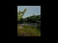 one of these nights cover - maggie wilson