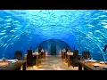 World s Top 10 Most Amazing Restaurants
