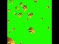 Green screen daun berjatuhan keren