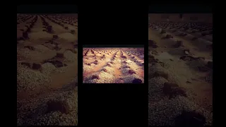  كل نفسن ذائقه الموت  القارئ اسلام صبحي تلاوه هادئة دندنها