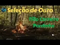 Seleção de Ouro - Tião Carreiro e Pardinho