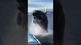 لحظات تخطف الأنفاس 