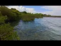 Download Lagu Bulasa Mangroves Resort June 2025