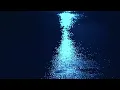 Download Lagu The Neighbourhood - Leaving Tonight  (Unofficial Music Video )