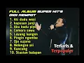 Download Lagu 10 Lagu Kenangan Didi Kempot Tanpa Iklan