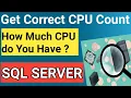 How Much CPU do you have Get correct CPU count SQL SERVER Performance CPU Utilization 100