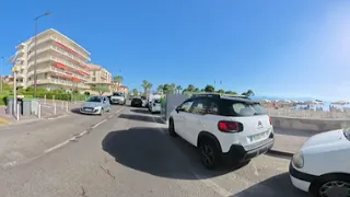                            دندنها