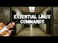 47 Essential Linux Commands Yes That Many