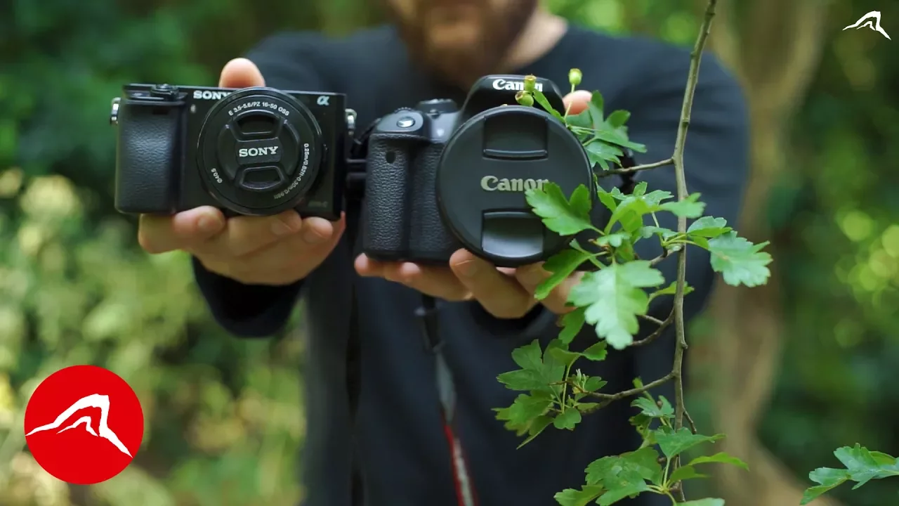 Sony A6000 vs Canon 70D - Which Camera Is Better?. 