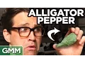 Download International Spice Taste Test mp4 3gp mp3 videos - waplic