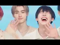Download Lagu Don't Miss These Sunsun Moments! | Sunoo \u0026 Sunghoon's Cutest Interactions 🦊🐧