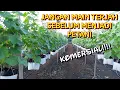 Download Lagu 10 Tips Sebelum Menjadi Petani Ladang Komersial