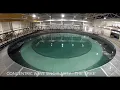 Concentric Wave Singularity - The Spike Included