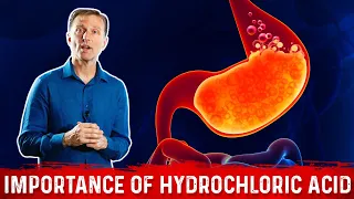 Download The Importance of Hydrochloric acid (HCL) in the Stomach – Dr. Berg MP3