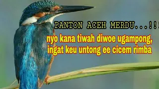 Download Panton aceh merdu 2020,nyo kana tiwah diwoe ugampong, ingat keu untong ee cicem rimba MP3