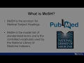 Subject Terms vs Keywords
