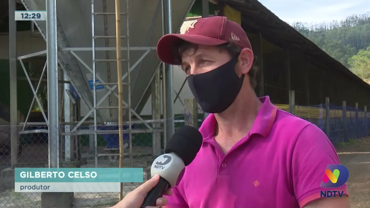 SC reforça segurança contra a peste suína africana