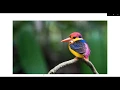 Python Pillow - To Adjust The Image Brightness