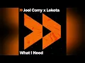 Joel Corry x Lekota - What I Need (Extended Mix)