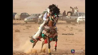 كمال لڨالمي دي دي داي Chikh Kamel Lgalmi Didi Day 