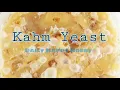 Download Lagu Kahm Yeast : Fermented pineapple skin juice made on 17Feb '22 MP3