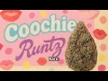 You ve Never Seen Runtz Strains Like These