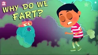 Download Why Do We Fart - The Dr. Binocs Show | Best Learning Videos For Kids | Peekaboo Kidz MP3