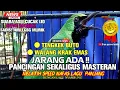 Lagu NYATA‼ LATIH NAFAS PANJANG MASTERAN LAGU TENGKEK BUTO SAMBUNG WALANG KRAK DGN SUARA ASLI CUCAK IJO