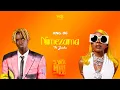 Download Lagu D Voice Ft Zuchu - Nimezama (Official Lyric Audio)