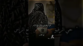 ابيات شعر عن الصديق الكفو  ابيات شعر عن الصديق الكفو