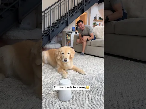 my dog doesn’t realize it’s just a song!