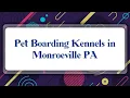 Top 10 Pet Boarding Kennels in Monroeville PA