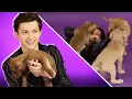 Video di Tom Holland Plays With Puppies While Answering Fan Questions