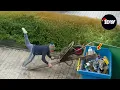 Download Lagu Moments When Things Went Wrong | Best of Month (P7)