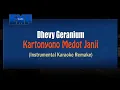 Download Lagu Dhevy Geranium - Kartonyono Medot Janji VERSI REGGAESKA (KARAOKE INSTRUMENTAL REMAKE)