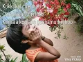 Download Lagu Iru  Hridayangalil  Onnayi veeshi Karoake with lyrics