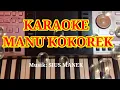 Download Lagu ĶARAOKE MANU KOKOREK***BY SIUS MANEK