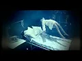 Download Lagu BEHEMOTH - Lucifer (Official Music Video)