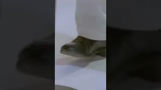 Let S See How Many People Get Rick Rolled 