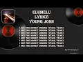 Young John - Elumelu Lyrics