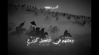 م ح م د ر س ول الل ه و ال ذ ين م ع ه أ ش د اء ع ل ى ال ك ف ار محمد اللحيدان 