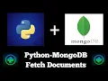 Python MongoDB Fetch Documents