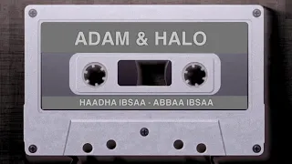 Adam Harun Halo Dawe Haadha Ibsaa Oromo Music  Adam Harun Halo Dawe Haadha Ibsaa Oromo Music