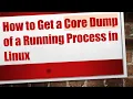 How to Get a Core Dump of a Running Process in Linux
