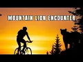 Download Lagu Ontmoeting met poema's en tips. / Mijn verhaal over mijn fietservaring