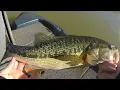 Lake Norman bass tournament Water is clearing up