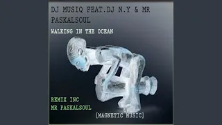 walking in the ocean mr paskalsoul remix 